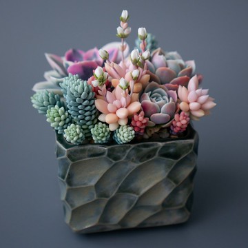 大型珠寶收納盒，飾有彩虹石蓮與趙氏十二卷