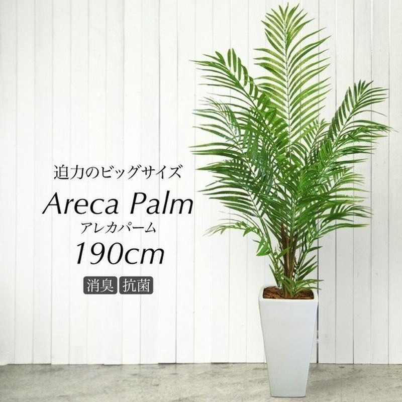 フェイクグリーン 大型 人工 観葉植物 造花 アレカヤシ 株立ち アレカパーム 190cm 鉢植 光触媒 Ct触媒 インテリア リアル おしゃれ 通販 Lineポイント最大0 5 Get Lineショッピング