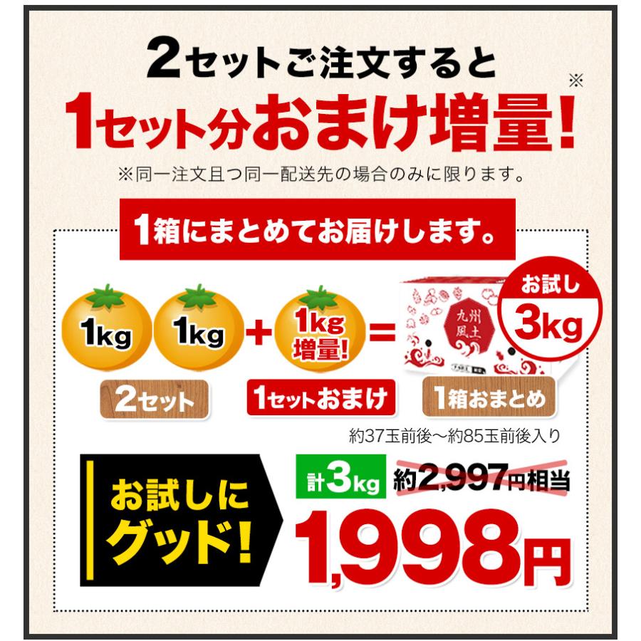 小玉 みかん 訳あり 送料無料 ミカン わけあり 小玉 小粒 送料無料 フルーツ お取り寄せ 1kg 温州 果物 3s-sサイズ 11月中旬-12月上旬頃より発送予定