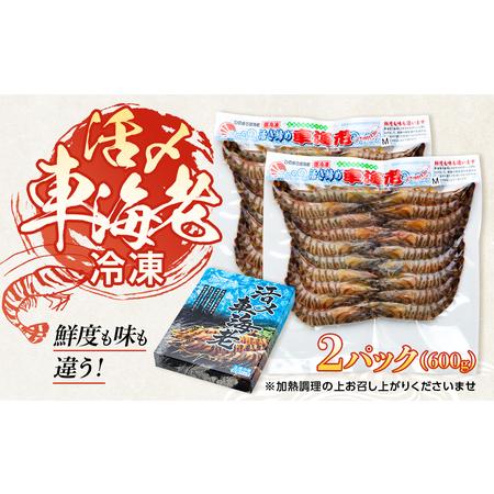 ふるさと納税 活き〆冷凍 車海老 Mサイズ 計600g  鹿児島県産 (養殖) 鹿児島県屋久島町