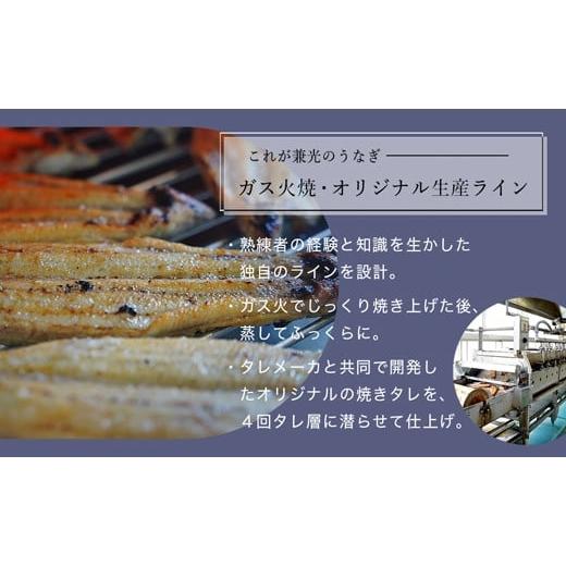 ふるさと納税 愛知県 西尾市 愛知県三河一色産うなぎ蒲焼き特大サイズ2尾 きざみうなぎ2食入りセット（長焼き2尾で400g   …