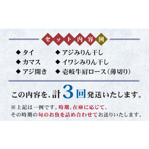 ふるさと納税 長崎県 壱岐市 壱岐牛と旬の海産物セットE      干物 ひもの みりん干し タイ  アジ イワシ カマス ロース 肩ロース 詰め合わせ …