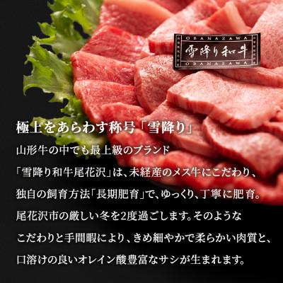 ふるさと納税 尾花沢市 尾花沢牛肉まつり　プチ贅沢焼肉セット　ロース・カタ・モモ・カルビ　500g