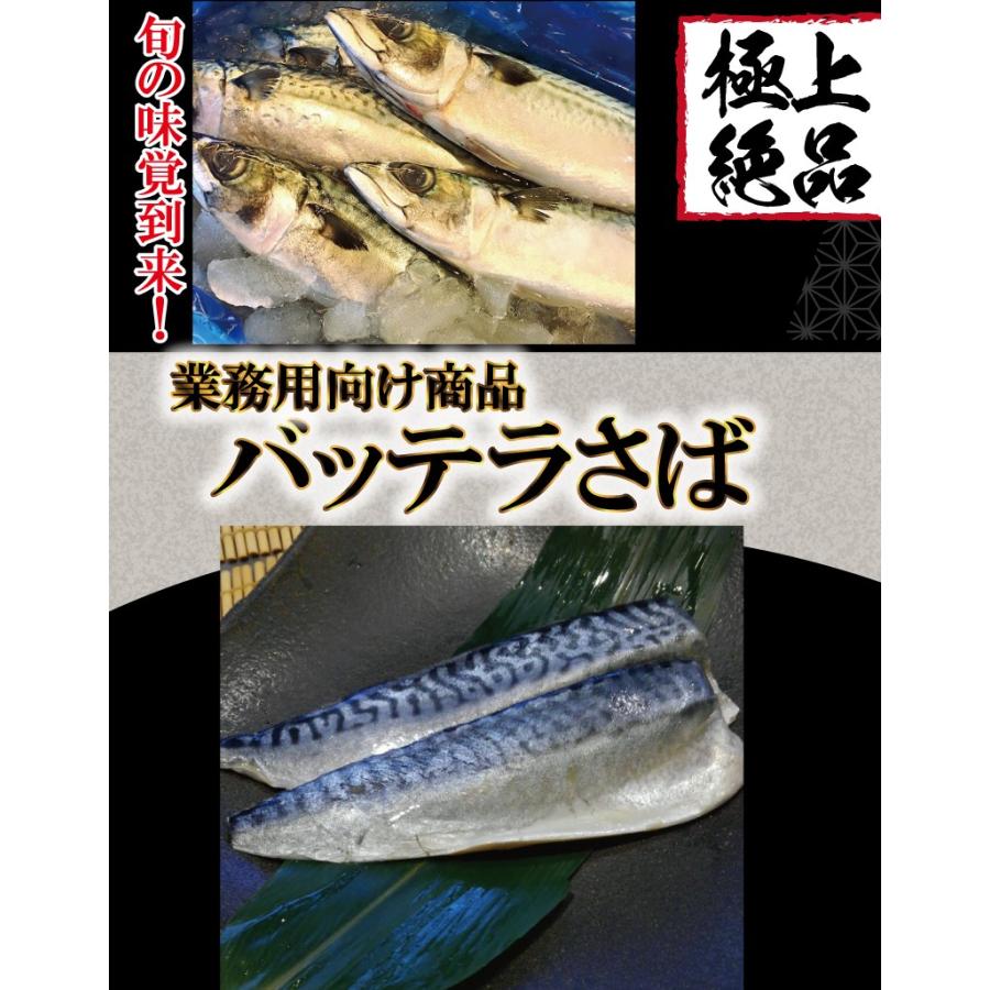 しめ鯖 さば 鯖 バッテラ用酢〆さば 5枚 業務用向け サバ寿司 お刺身 鯖寿司 酒のアテ おつまみ