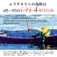 北海道 利尻 島産 塩水生うに（ムラサキウニ）100g×3パック [2024年6月出荷開始先行受付] ウニ 塩水ウニ