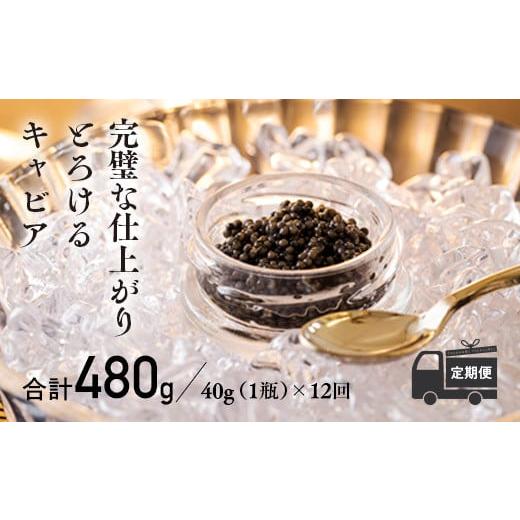 ふるさと納税 宮崎県 高原町 THE・CAVIAR（ザ・キャビア）40g