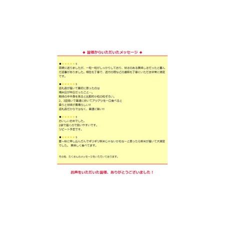 ふるさと納税 ＜ 定期便 ＞5年産米 精米 10kg ×6回（ 隔月 ）三百年続く農家の有機特別栽培 コシヒカリ 有機栽.. 茨城県つくばみらい市