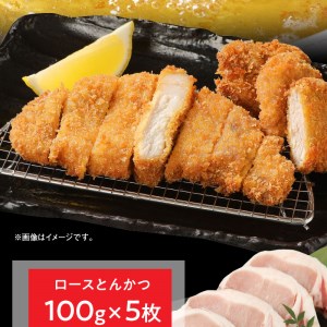 宮崎県産豚 ロースとんかつ 100g×5 ロースしゃぶ 500g ヒレとんかつ 400g　計1.4kg ミヤチク 国産　N0147-ZA170