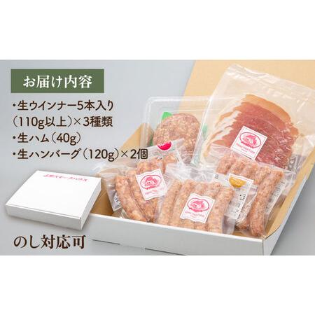 ふるさと納税 特製 生ハンバーグ 生ハム 生ウインナー 3種 セット 糸島市   志摩スモークハウス 肉 加工品 贈り物 [AOA028] 福岡県糸島市