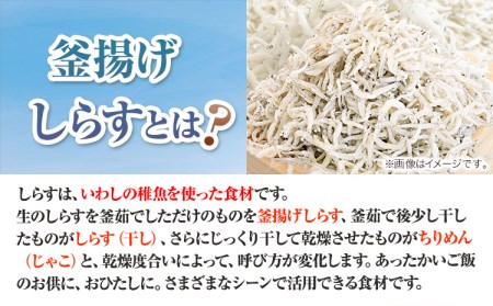 釜揚げしらす900g（化粧箱）　大五水産 《30日以内に順次出荷(土日祝除く)》 和歌山県 紀の川市 しらす 釜揚げしらす