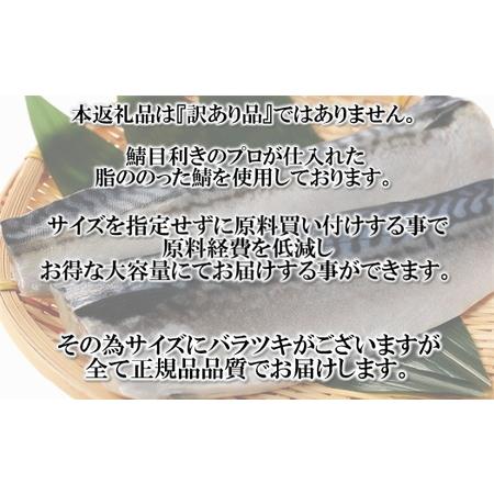 ふるさと納税 AB346.バラ凍結で便利！塩さば＆銀鮭ミックス（合計約2.5kg） 福岡県新宮町