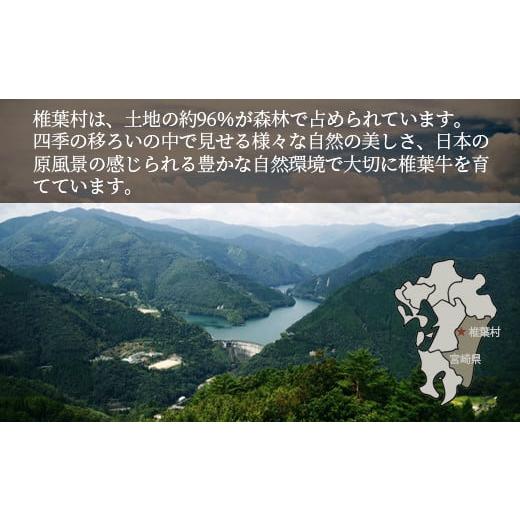 ふるさと納税 宮崎県 椎葉村 宮崎県産 椎葉牛 赤身ももブロック 500gモモブロック 赤身ブロック