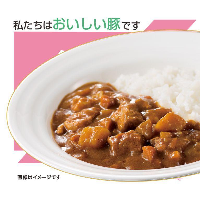 カレーショップCC ポークセレクト30個セット　200g×３０個