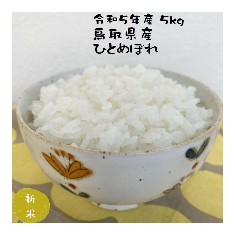 米 新米 5kg ひとめぼれ お米マイスター厳選 鳥取県産 令和5年産