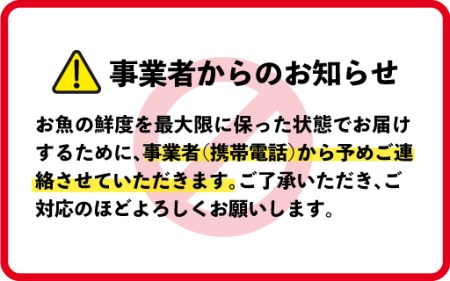 延岡産活〆鮮魚の豪華お刺身 （6ヶ月定期便）N019-ZF044　請関水産