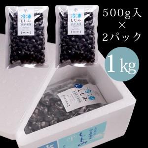 お歳暮 ギフト 宍道湖産 冷凍しじみ 1kg（中粒） 砂抜き済 送料無料（北海道・沖縄を除く）