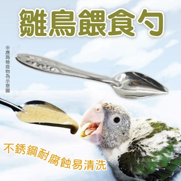 餵養勺子 雛鳥餵奶勺 鸚鵡餵養勺子 鸚鵡湯匙 鳥湯匙 小寵餵奶勺 小鳥餵食勺 小寵餵食勺【HIGHCP寵物百貨】