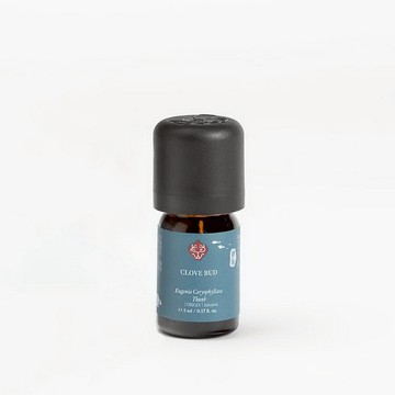 丁香花苞 精油/ 辛香調/ 單方精油