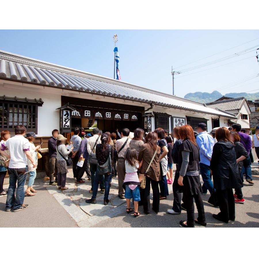 饂飩 冷凍 讃岐うどん 贅沢4種 詰め合わせ 6人前 RY-6 うどん本陣山田家 讃岐うどん 香川県 かきあげ ざる