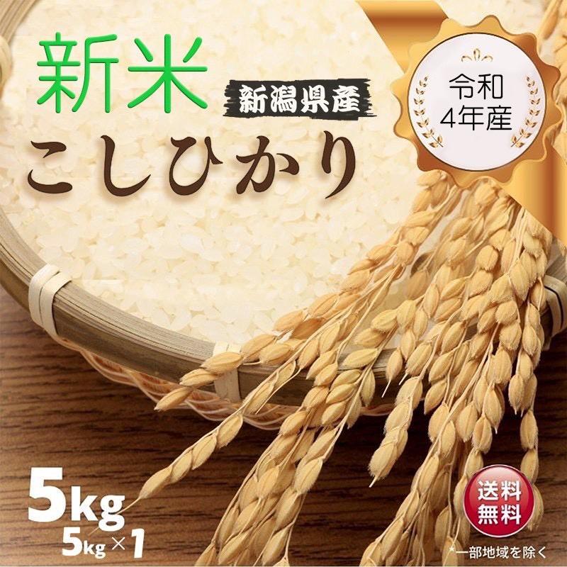 こしひかり 5kg 令和4年産 新潟県産 米 お米 白米 おこめ 精米 単一原料米 ブランド米 5キロ 送料無料 国内産 国産