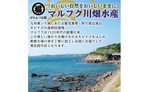 akune-2-209 鹿児島県阿久根市産生干し「花いか」(計25尾・5尾×5袋)国産 魚介 干物 ひもの イカ 烏賊 がらんつ干物 2-209