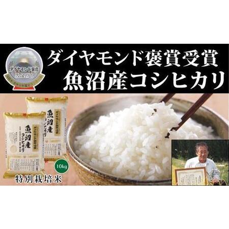 ふるさと納税 最高級魚沼産こしひかり　5kg×２ 新潟県津南町