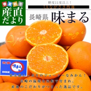 長崎県 JAながさき西海 味まる 約2.8キロ(1.4キロ×2) LからMサイズ 送料無料 ミカン 蜜柑 みかん 長崎みかん 市場発送