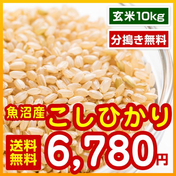 極上米 魚沼産 コシヒカリ 玄米 10kg(5kg×2) 分搗き無料 令和5年産 送料無料 （※北海道・沖縄・離島を除く）お米 米