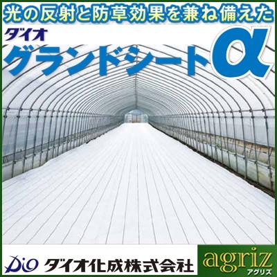 防草シート 1m ダイオ化成 グランドシート ホワイト 100cm X 100m 抗菌剤無 白色 農業資材 ビニールハウス イチゴ トマト 植物工場 果樹園