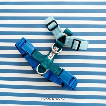 人類和獵犬模型 H 型安全帶，尺寸 M/L：小型犬安全帶狗胸圍尺寸