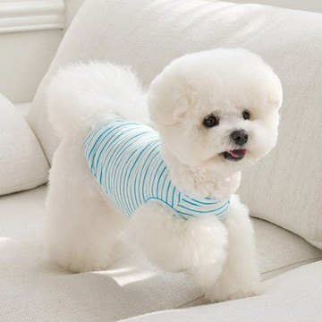 寵物服飾- 陽光條紋上衣 藍 -韓國it’s 寵物衣服  狗狗衣服 小型犬服飾狗上衣