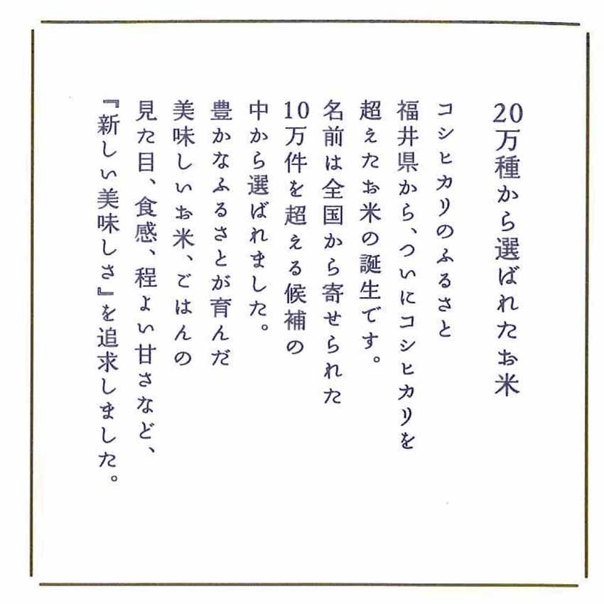 令和5年産 お米 米 ５kg×2 贈答品 お中元 御中元 お歳暮 御歳暮 福井県産 いちほまれ 福井県米 新米