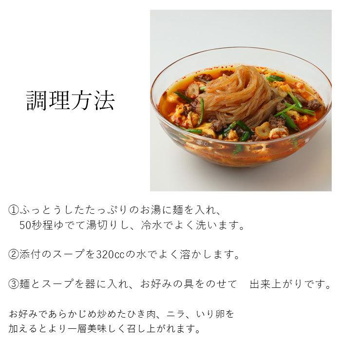 冷し辛麺 送料無料 宮崎発祥 きねうち麺 冷麺