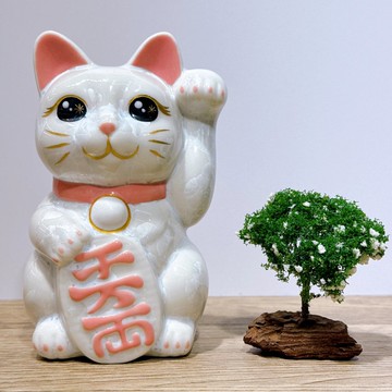 【晶雅瑞貓】日本清水燒招財貓 | 花結晶 白 千万両 左