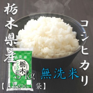 米 お米 令和5年産 無洗米 栃木県 コシヒカリ 5kg 合計 5kg