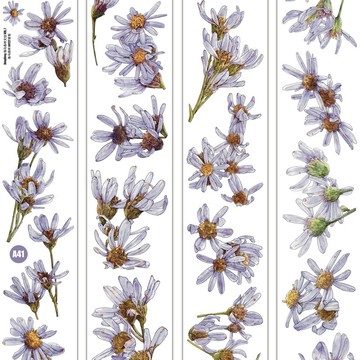 野紫菊 レトロ野の花 PET 割型貼紙卷 和紙膠帶 5米卷 (kiss-cut)