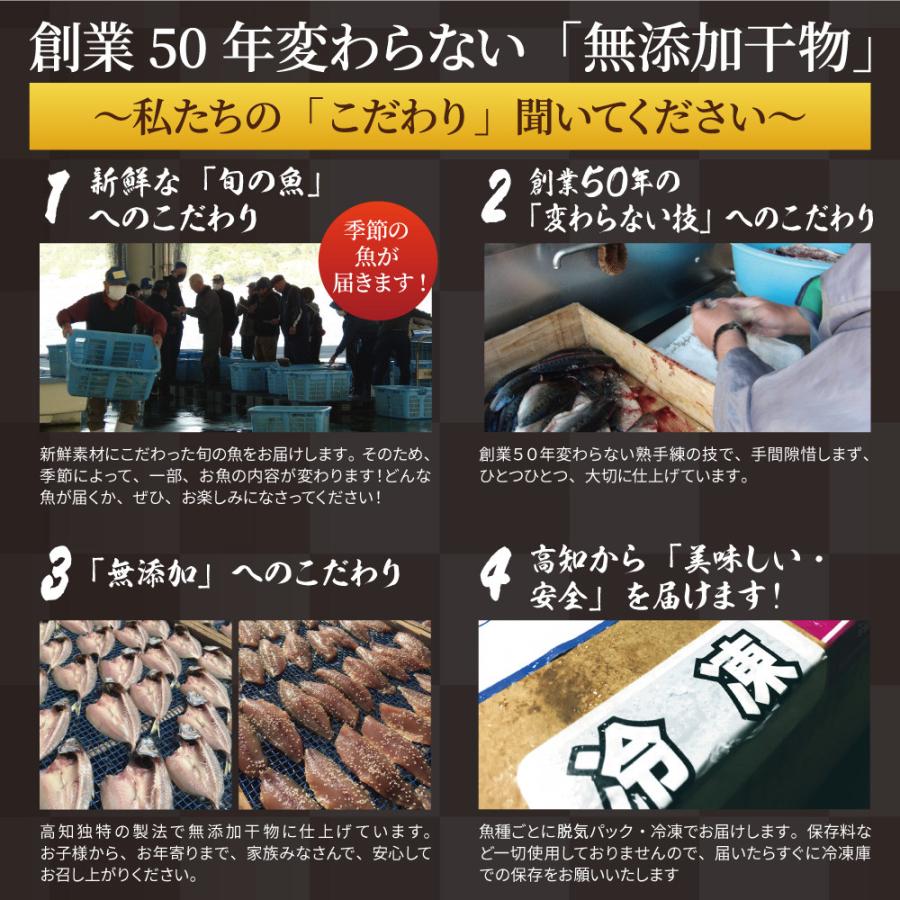 干物セット 高知県産 無添加 詰め合わせ 5種10枚 約1kg 定番 アジ サバ カマス 土佐清水 国産 産地直送 お歳暮 2023 ギフト