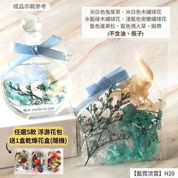 【A-ONE】浮游花DIY花材包 永生情人草 永生花 植物果實 花藝 手做 乾燥花 不凋花 乾花 H20