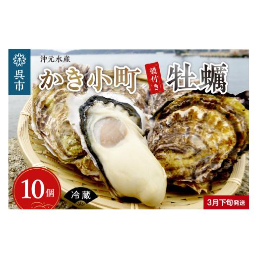 ふるさと納税 広島県 呉市 沖元水産 かき小町 殻付き 牡蠣 10個 牡蠣ナイフ、レシピ付