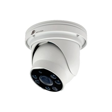 昇銳 昌運監視器 HS-D106N4-H 2MP紅外線防水網路球型攝影機