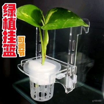🔥臺灣24h🔥綠植掛籃魚缸壁掛水培定植籃懸掛架裝飾亞克力水草種植杯盆造景缸