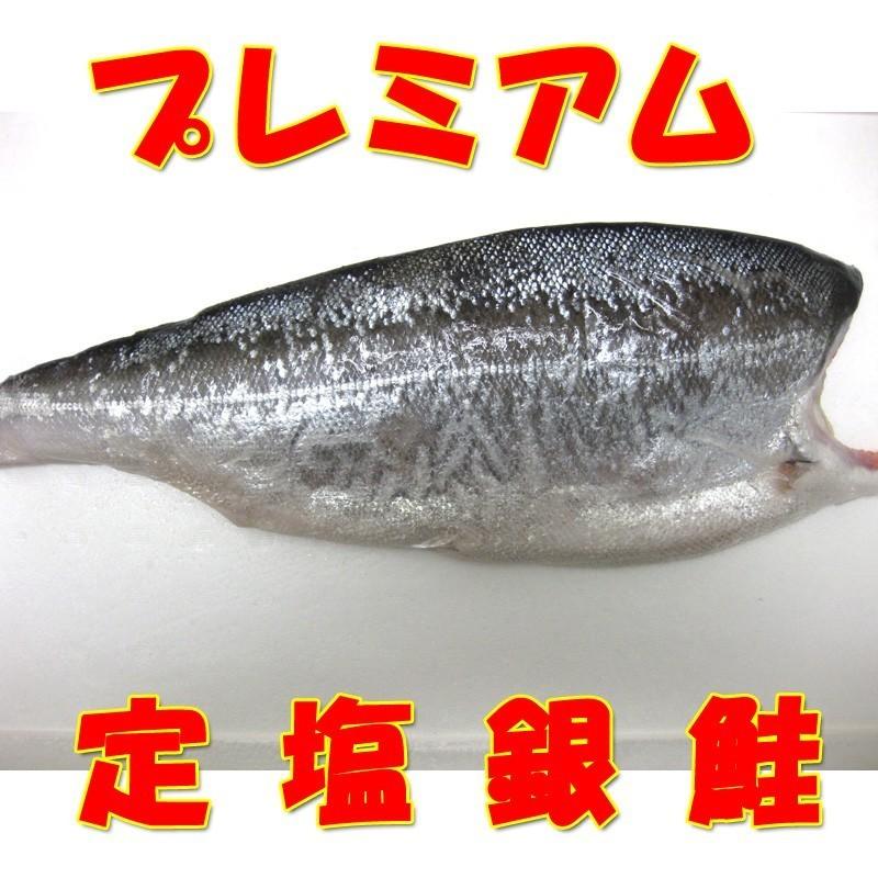 鳥取県境港産 甘塩銀鮭 切り身 10切れ