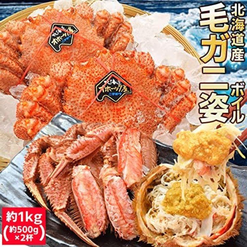 毛ガニ 姿 ボイル ２尾 約１ｋｇ（約５００ｇ×２杯） (通常梱包) 北海道 ブランドタグ付 毛蟹 毛がに 冷凍 蟹 かにみそ 海鮮