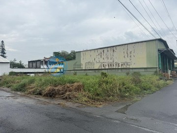 三角窗鳳林一路漂亮農地低總價｜高雄市大寮區義仁段