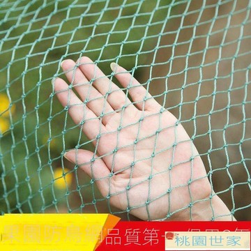 免運 防鳥網 防蟲網  防鳥網果園免郵尼龍網葡萄網櫻桃網稻谷魚塘防護網天網陽臺防護網
