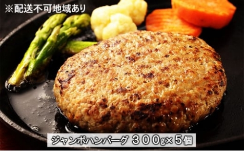 国産牛100％ ジャンボハンバーグ 5個　300g×5個