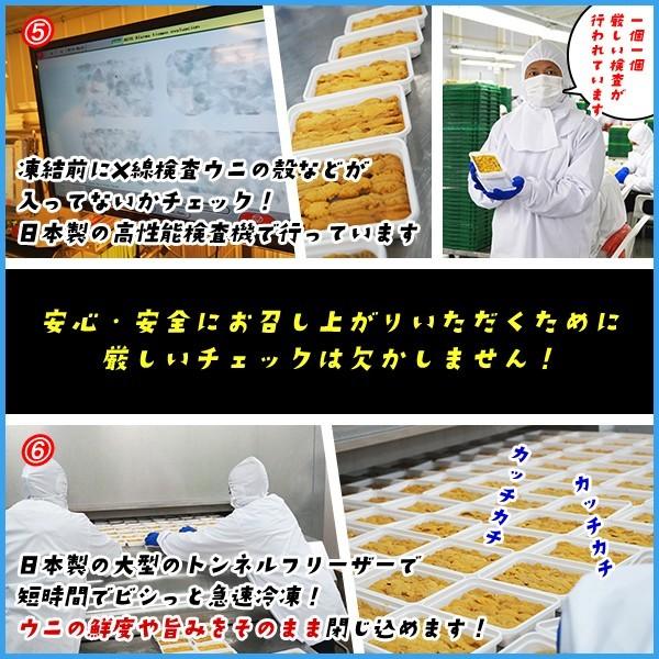 うに ウニ 天然生ウニ 100g×3パック 雲丹 ミョウバン不使用 完全無添加 冷凍食品 寿司 軍艦 ウニ丼