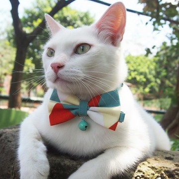 三角幾何圖形款 蝴蝶結寵物裝飾項圈 貓咪 小型犬 迷你犬