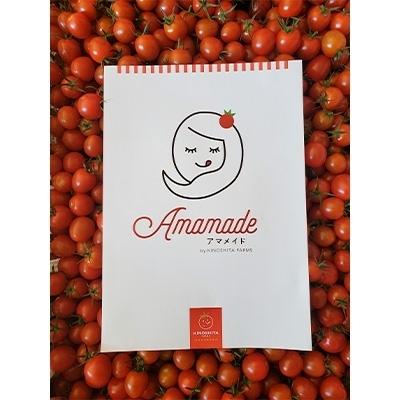 ふるさと納税 岸和田市 通年糖度8以上のミニトマト「アマメイド」1kg