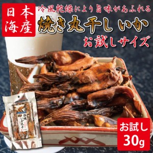 おつまみ イカ 肝入り 焼き丸干いか (30g) お試しサイズ 干物 珍味  焼き ワタ入り 一口サイズ おつまみ 美味しい 産地 酒の肴 海鮮